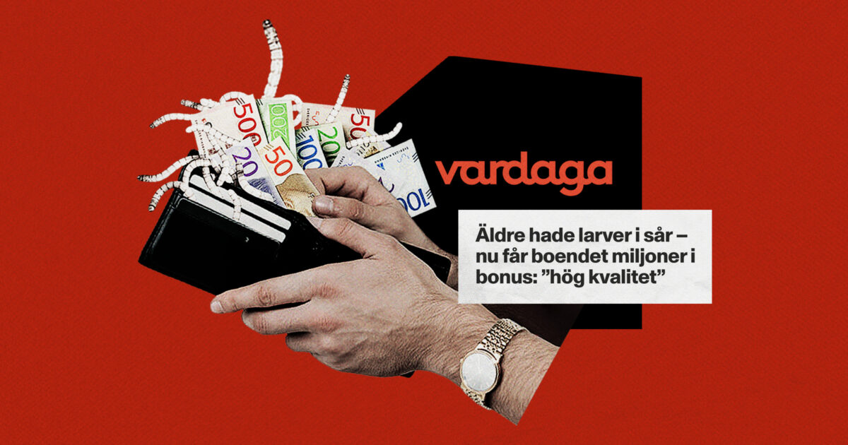 Vardaga, sedlar och larver. Kläggets montage.