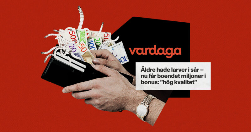 Vardaga, sedlar och larver. Kläggets montage.